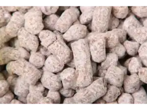 Chocolate Nibbles Original (v)