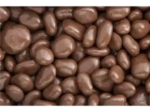 Chocolate Raisins (v)