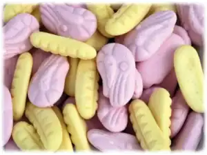 FOAM BANANAS and SHRIMPS