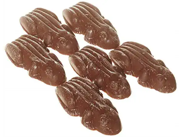 Frogs Chocolates V