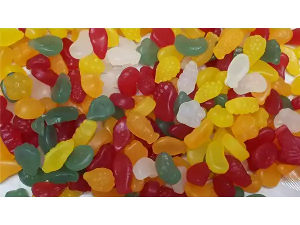 Fruit Salad Gums Vegan