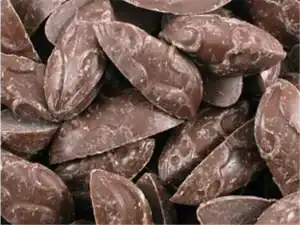 MICE chocolate (BROWN) (V)