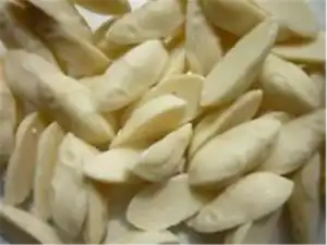 MICE chocolate (WHITE) (V)