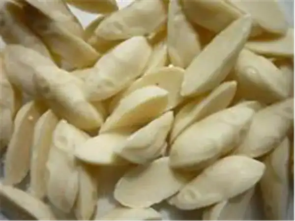 Premium roasted pistachios for snacking and baking. Natural, crunchy, and delicious. Perfect for gifting or enjoying at home.