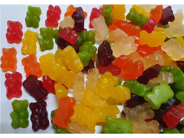 Animal Shape Gummy Bears