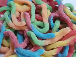 reptile shape WORMS FIZZY (LONG) (NEON)