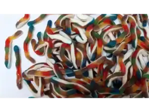 reptile shape WORMS GUMMY (LONG)